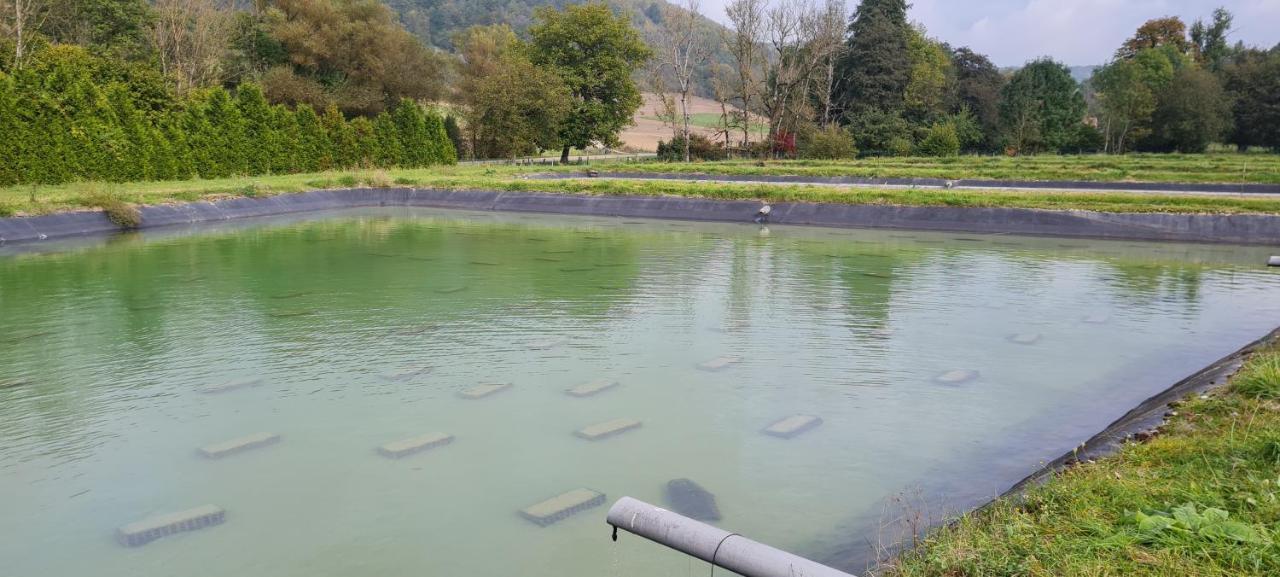Le Moulin Aux Ecrevisses Bed & Breakfast Thonnance-les-Joinville ภายนอก รูปภาพ