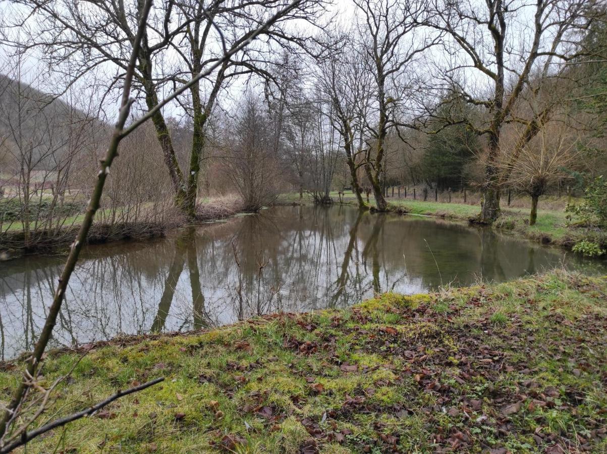 Le Moulin Aux Ecrevisses Bed & Breakfast Thonnance-les-Joinville ภายนอก รูปภาพ