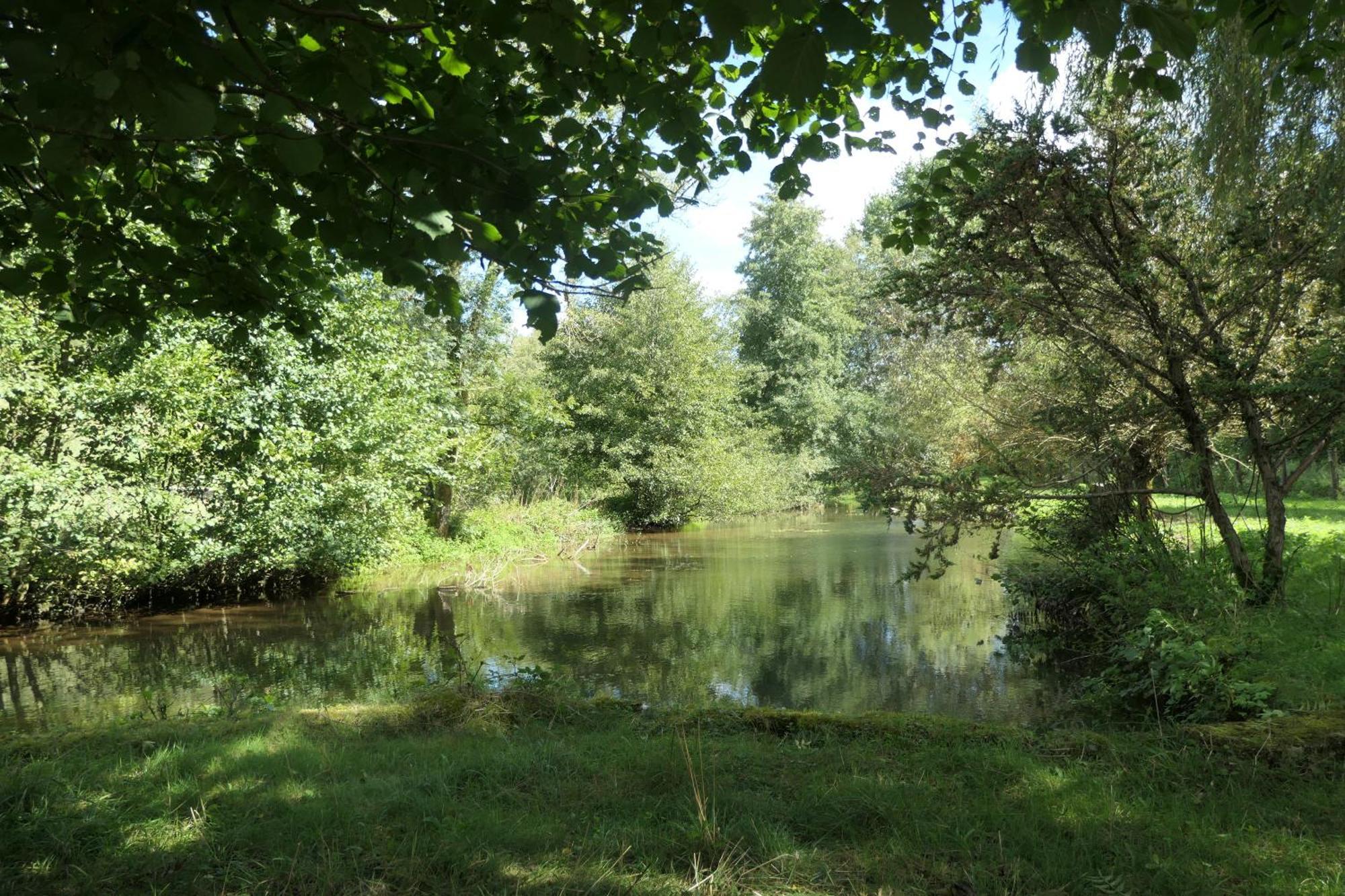 Le Moulin Aux Ecrevisses Bed & Breakfast Thonnance-les-Joinville ภายนอก รูปภาพ